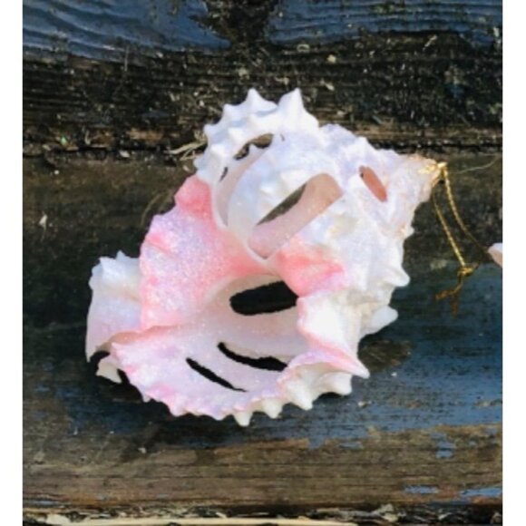 Lot of 5 Handmade Glittered Seashell Christmas Ornaments Angel Murex Clam Coasta - Picture 2 of 11